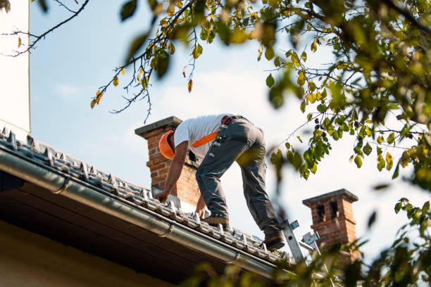 Best Residential Roofing Contractor  in Woodville, AL